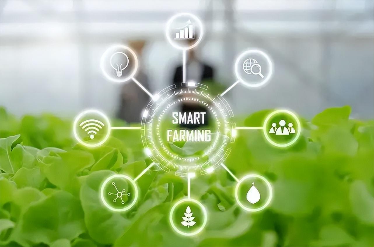 智慧農(nóng)業(yè)物聯(lián)網(wǎng)的未來在哪里？