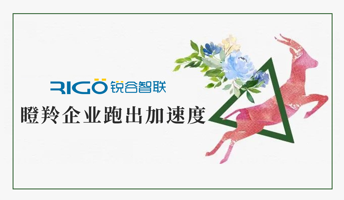 火炬高新區(qū)助力“瞪羚”企業(yè)跑出加速度，超半數(shù)分布廈門軟件園